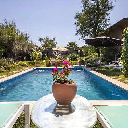 Private Pool Cozy In Yaliciftlik, Bodrum